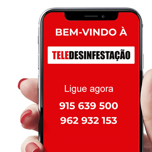 empresas desinfestação de pulgas