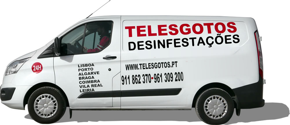 teledesinfestação carrinha