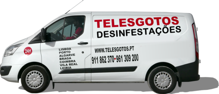 Preço do controlo de pragas na Madeira
